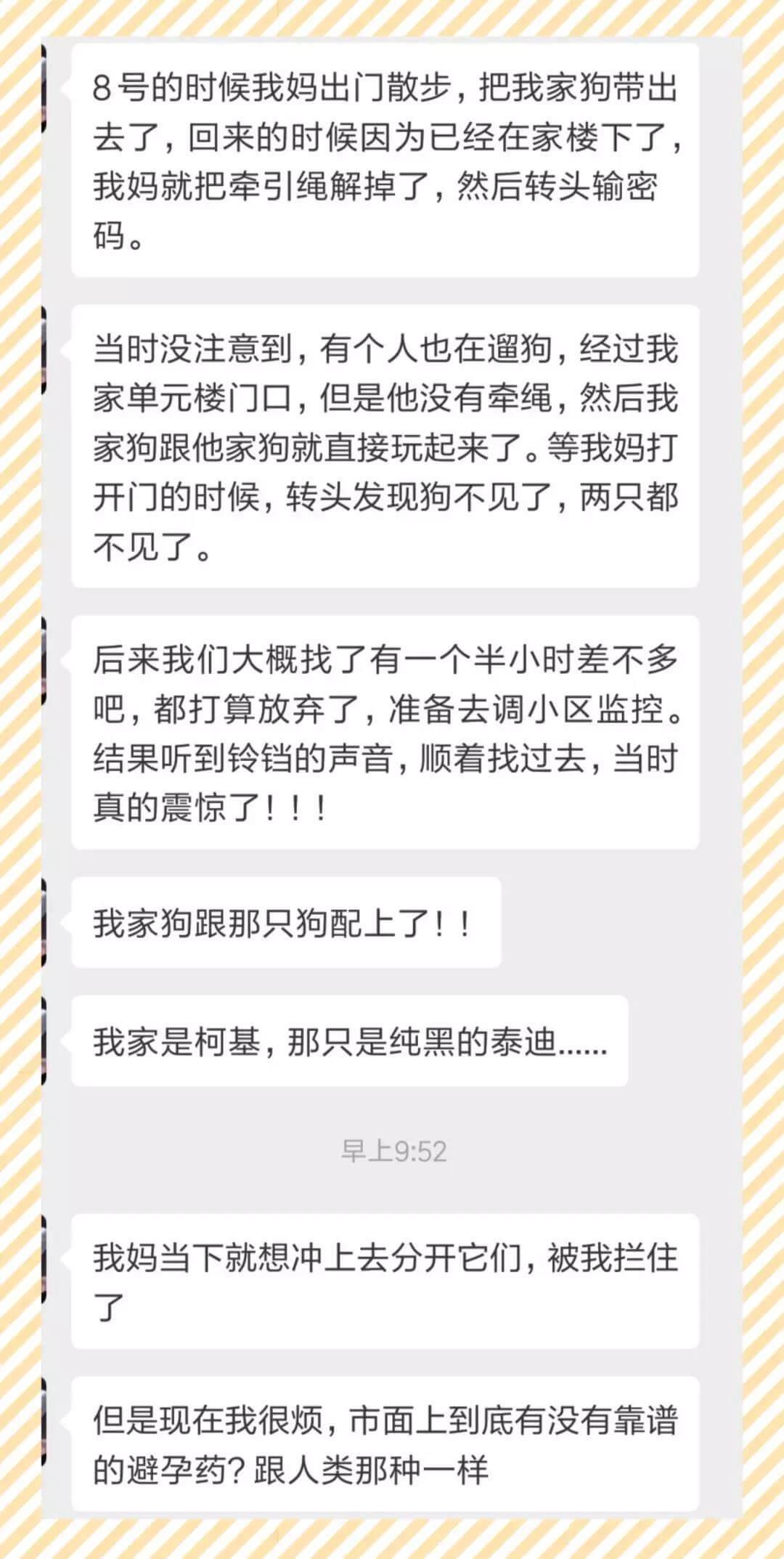 给宠物使用 鸡骨化胎？绝育粮？请停止这些无知又无效的绝育方法！