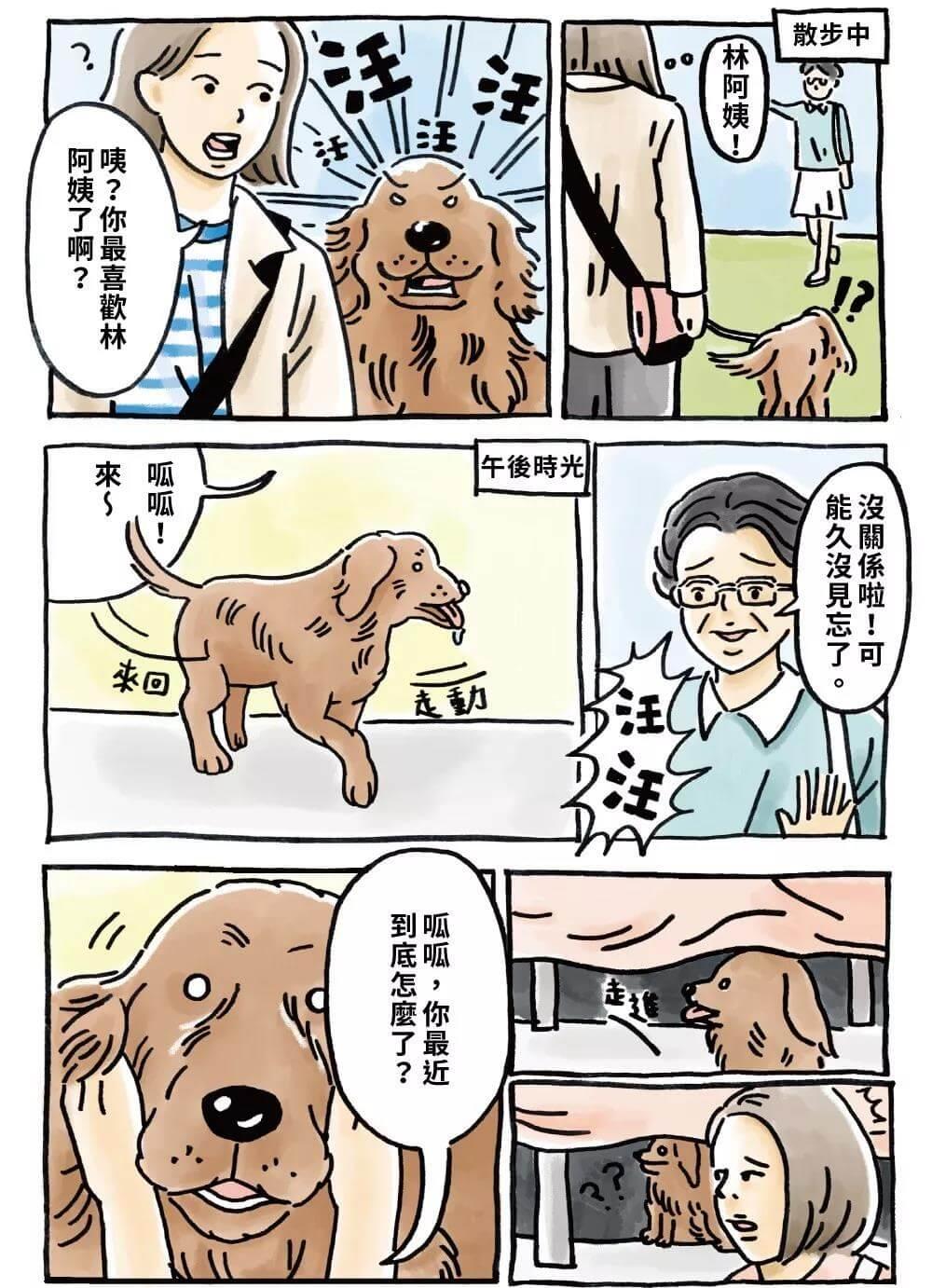 什么是老年犬症候群？主人需要做些什么？