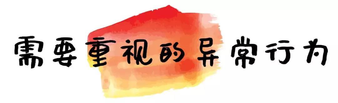 什么是老年犬症候群？主人需要做些什么？