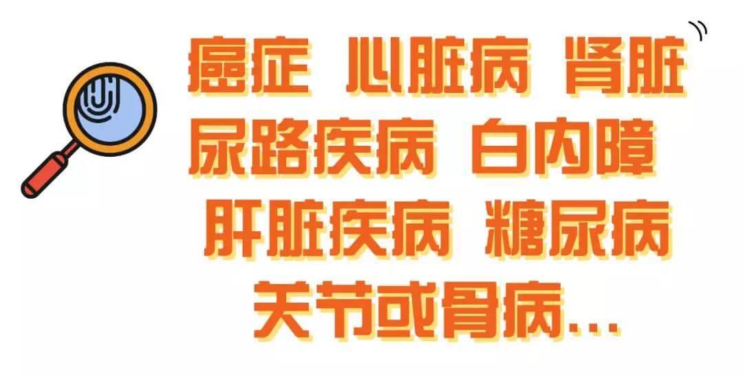 什么是老年犬症候群？主人需要做些什么？