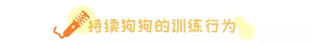 什么是老年犬症候群？主人需要做些什么？