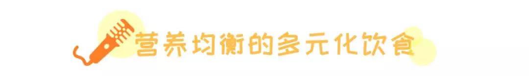 什么是老年犬症候群？主人需要做些什么？