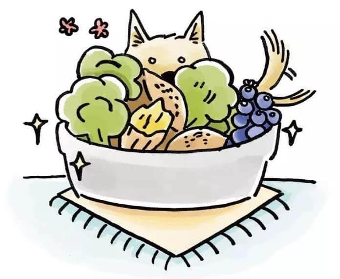 什么是老年犬症候群？主人需要做些什么？