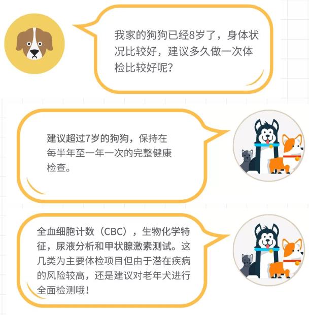 什么是老年犬症候群？主人需要做些什么？