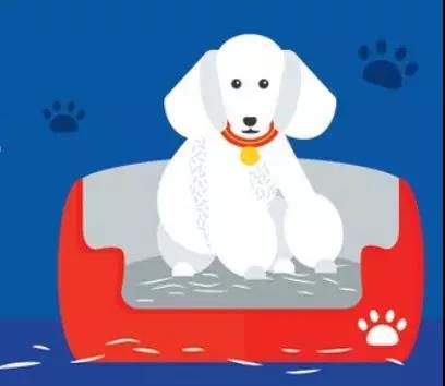 无法清理掉窝垫上的狗猫毛？听听国外铲屎官的建议吧