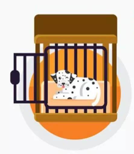 无法清理掉窝垫上的狗猫毛？听听国外铲屎官的建议吧
