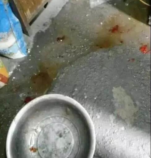 狗狗交配的时候不能随意打断，严重者致死！
