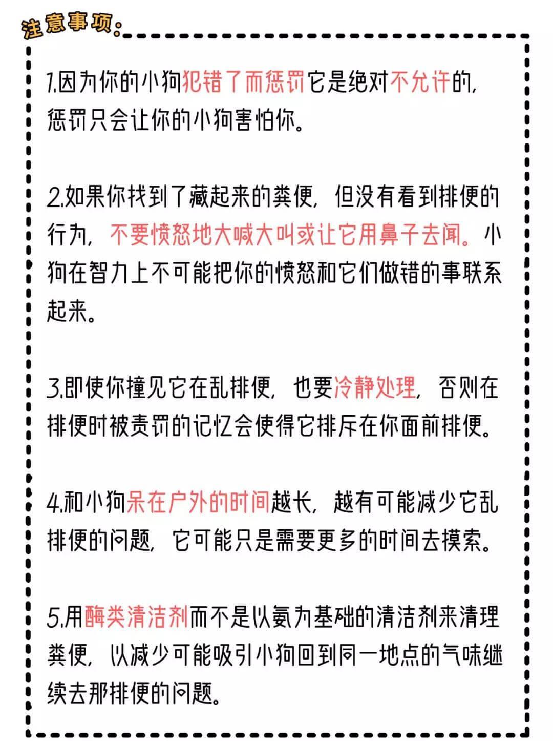 训了100遍的定点上厕所，宠物们到底还能不能学会？