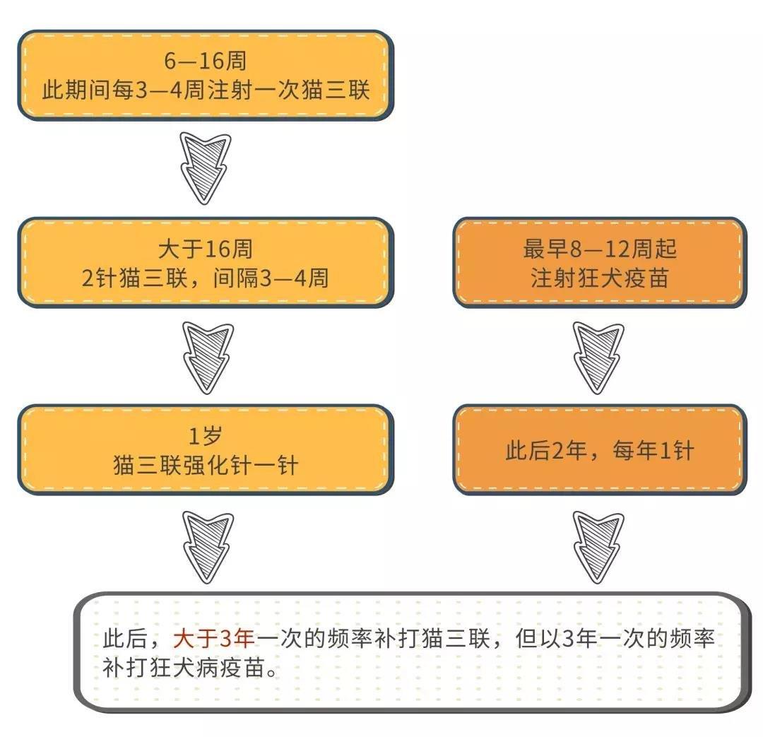 宠物过多的接种疫苗对它的身体健康有影响！