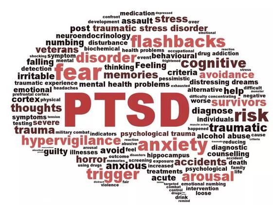 如果狗狗有这些表现，当心它可能患了PTSD