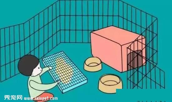狗狗不会定点排便？那你应该这么训练
