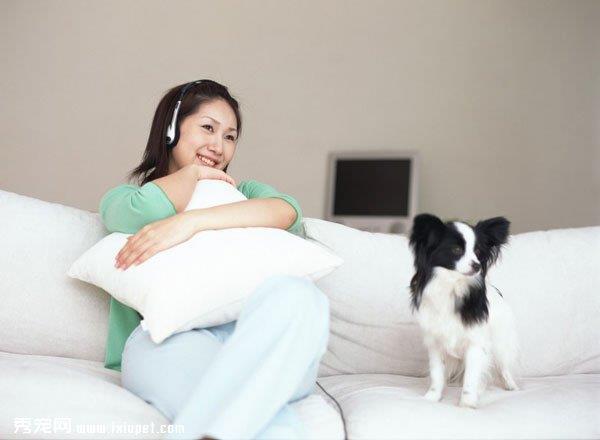 宠物寄生虫的危害以及预防