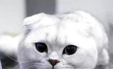 QQ截图20210724164306.png