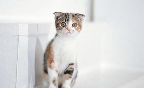QQ截图20210713093831.png