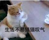 QQ截图20200812183733.jpg