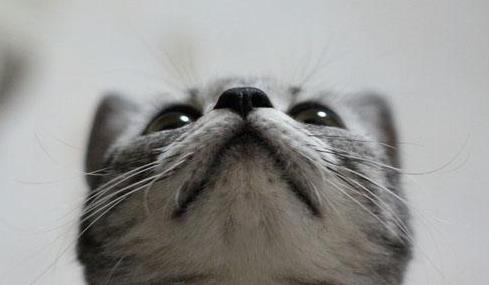 QQ截图20210623094529.png