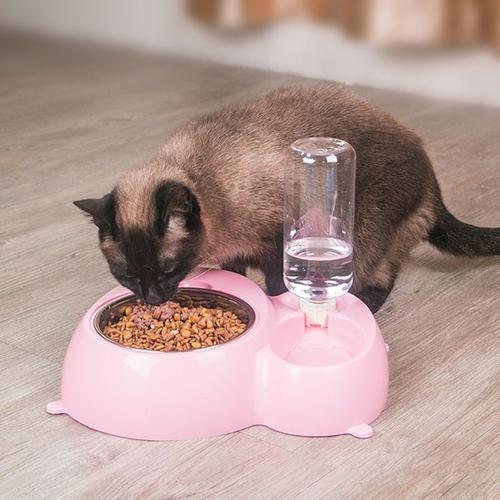 养猫前需做哪些准备工作？新手养猫必读！