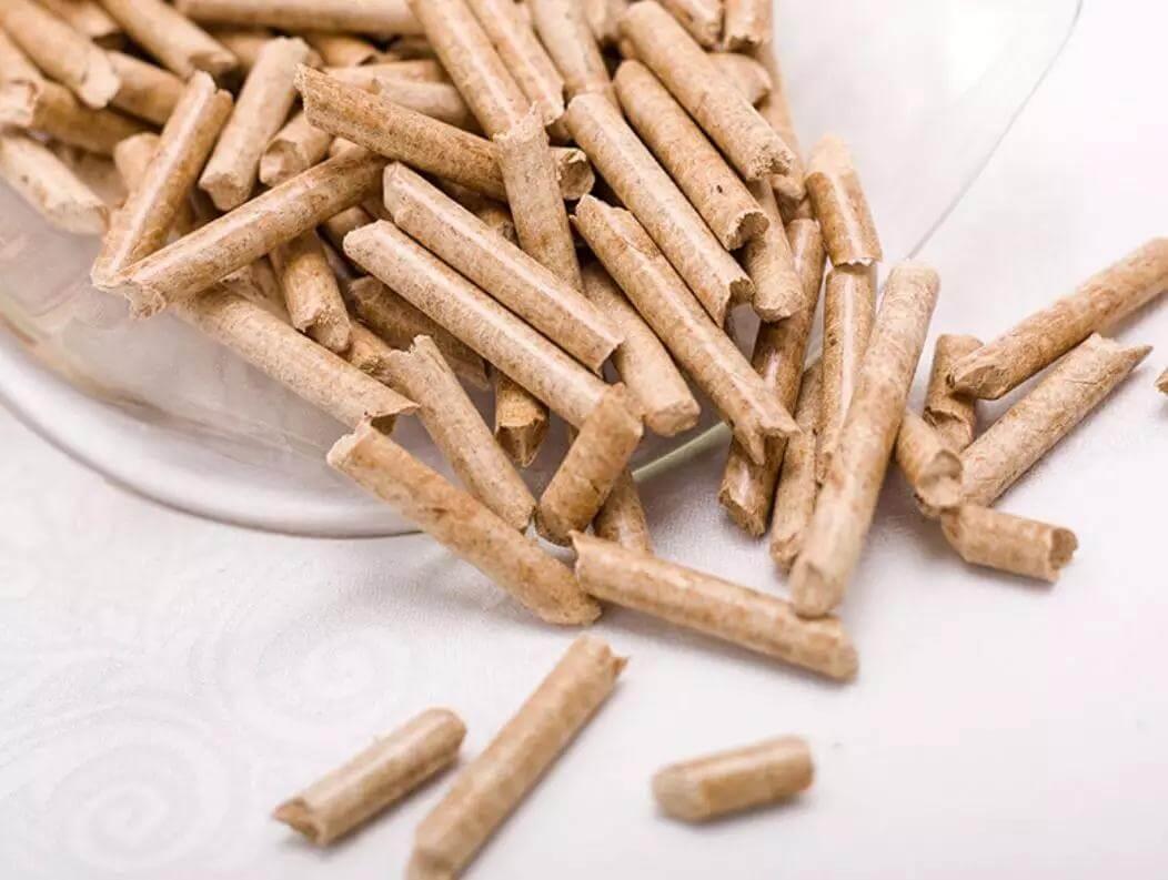 猫咪不喜欢的味道都有这些，你知道吗？