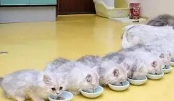 微信截图_20210527180328.png