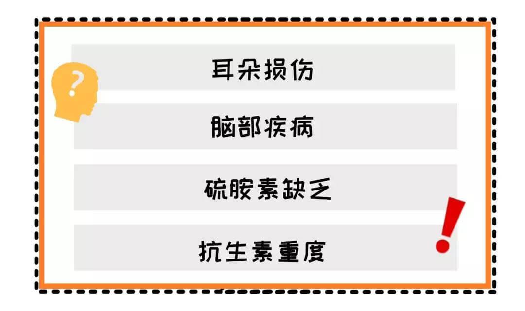 宠物们的「歪头杀」真的只是为了卖萌吗？