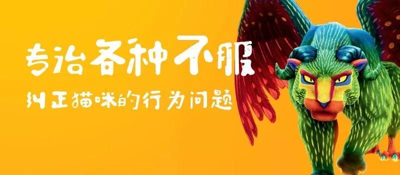 我的猫咪爱咬我怎么办（二）