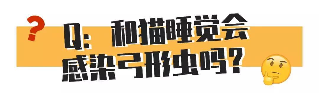 和猫睡觉会感染弓形虫的几率有多大？
