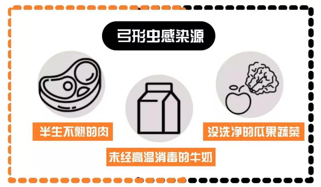 和猫睡觉会感染弓形虫的几率有多大？