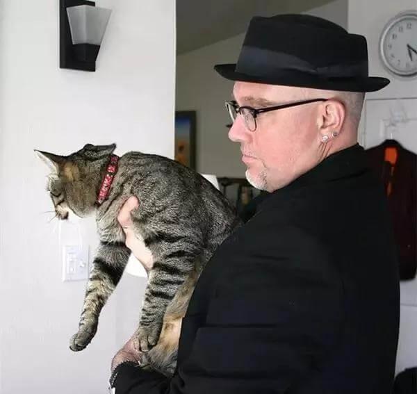 如何正确的抱猫？抱猫的正确姿势你做对了吗！