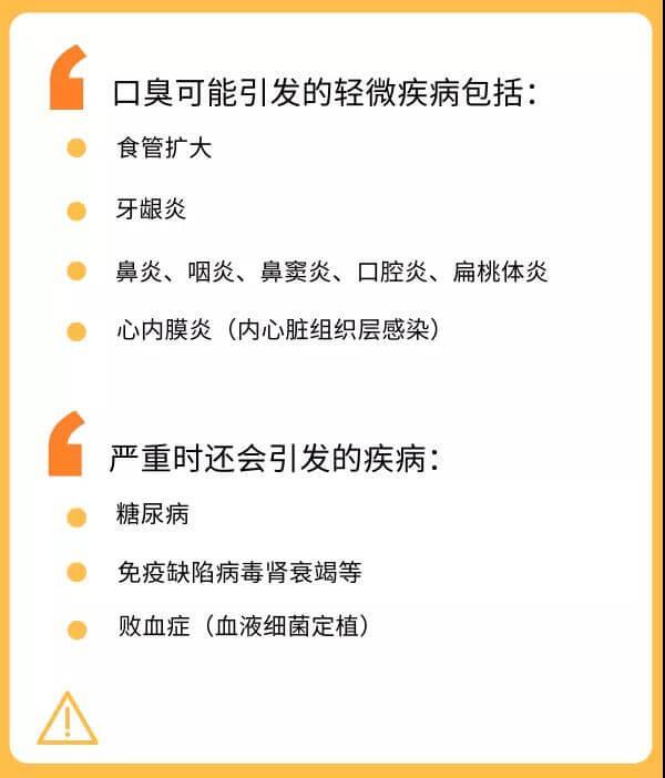 猫咪口臭应该如何治疗？