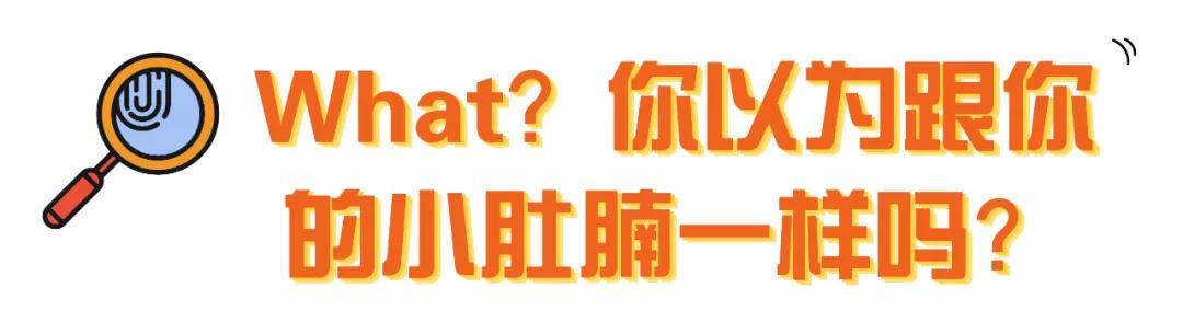 小肚腩？肉下垂？猫咪得了肥胖症？