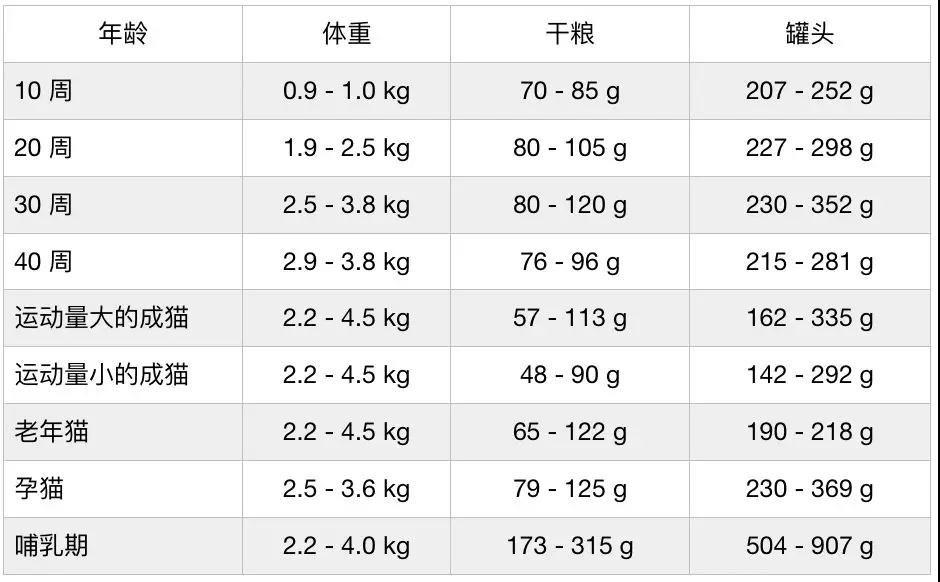 我到底应该给我的猫吃什么——生食？自制？罐头？还是干粮?