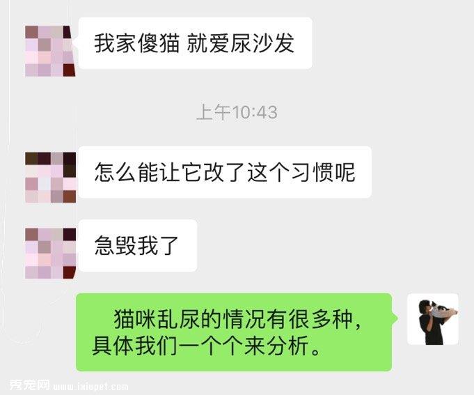 猫咪乱拉怎么办？猫砂及猫砂盆（篇）