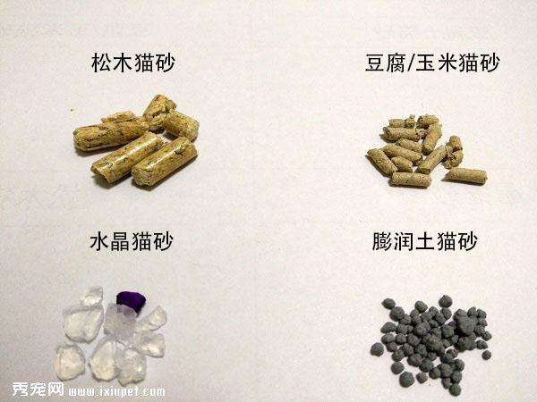 猫咪乱拉怎么办？猫砂及猫砂盆（篇）