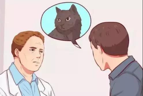 流浪猫的正确吸引和救助方法！