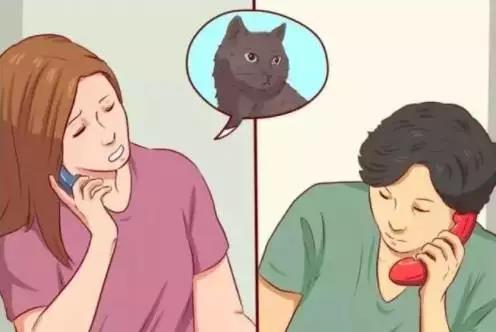 流浪猫的正确吸引和救助方法！