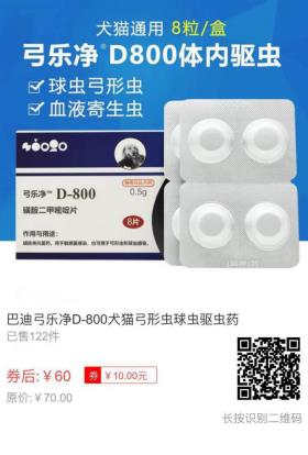 猫猫行为|猫咪喜爱主人的14个表现