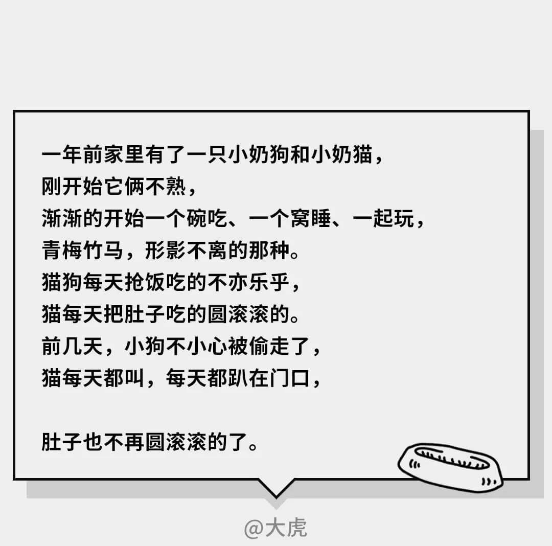 在猫咪的眼里，它们是如何理解离别的？