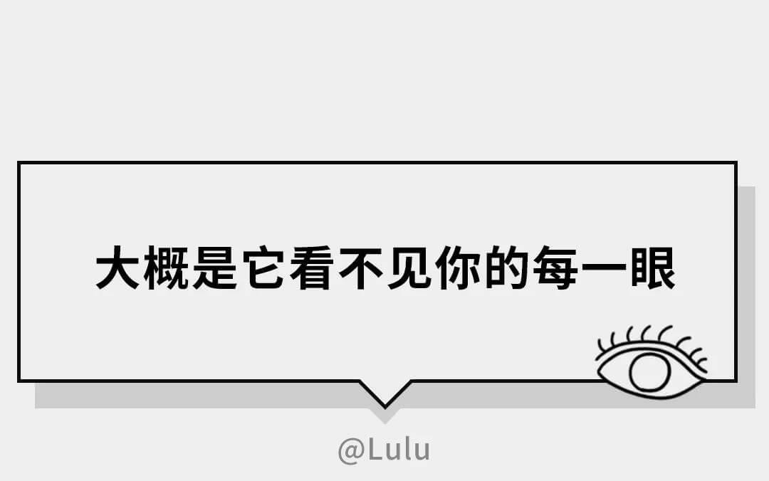 在猫咪的眼里，它们是如何理解离别的？