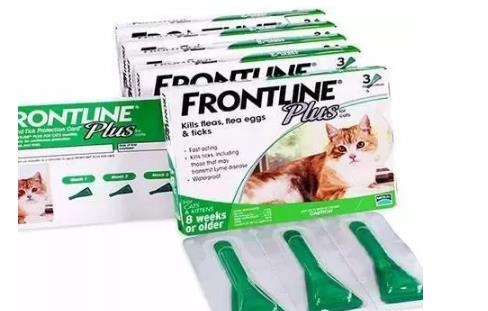 猫咪身上怎么驱虫? 新手猫奴快看!