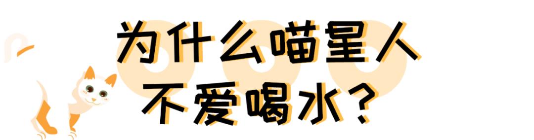 你家猫主子，每天的饮水量真的达标吗？