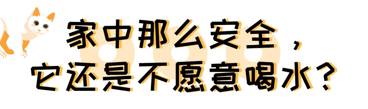 你家猫主子，每天的饮水量真的达标吗？
