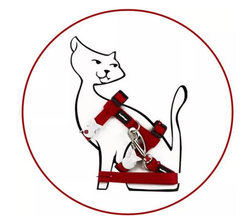 猫咪可以遛吗？选对装备，猫咪照样可以遛！