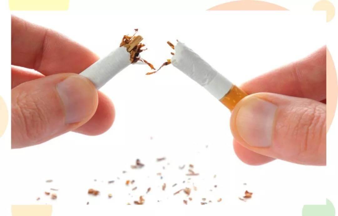 警告！你家宠物可能正在“抽烟”，快来看看尼古丁对猫狗的危害！