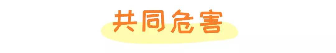 警告！你家宠物可能正在“抽烟”，快来看看尼古丁对猫狗的危害！