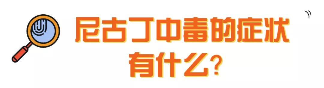 警告！你家宠物可能正在“抽烟”，快来看看尼古丁对猫狗的危害！