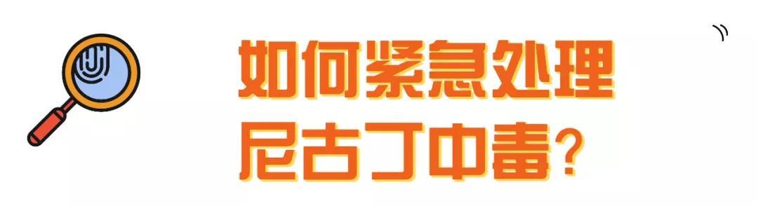 警告！你家宠物可能正在“抽烟”，快来看看尼古丁对猫狗的危害！