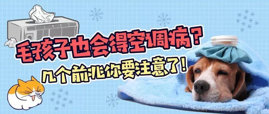 宠物也会得空调病？这几个前兆你可得注意了！