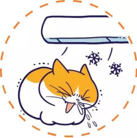 宠物也会得空调病？这几个前兆你可得注意了！