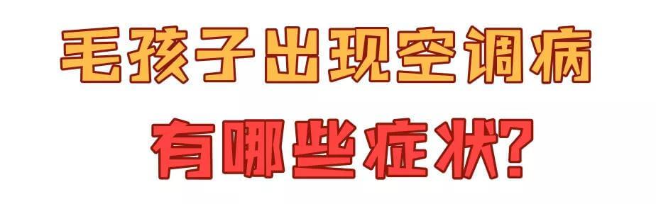 宠物也会得空调病？这几个前兆你可得注意了！