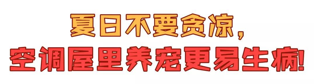 宠物也会得空调病？这几个前兆你可得注意了！